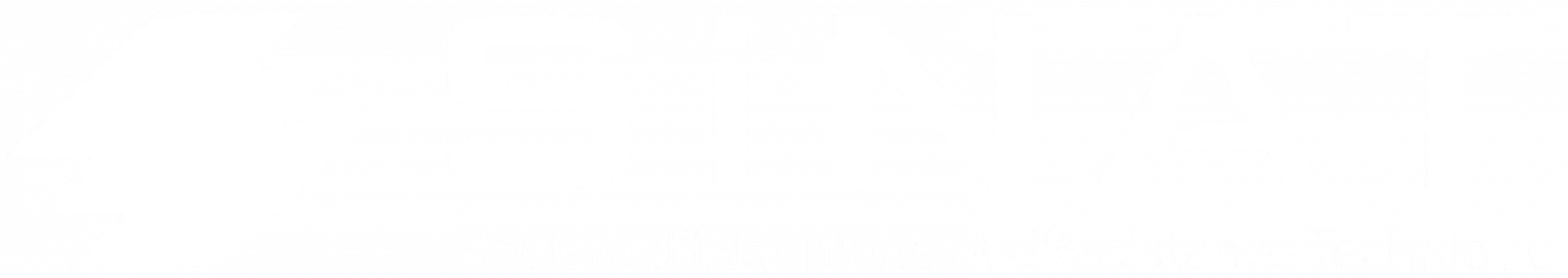 SINAT, Société d'Ingénierie et d'Assistance Technique